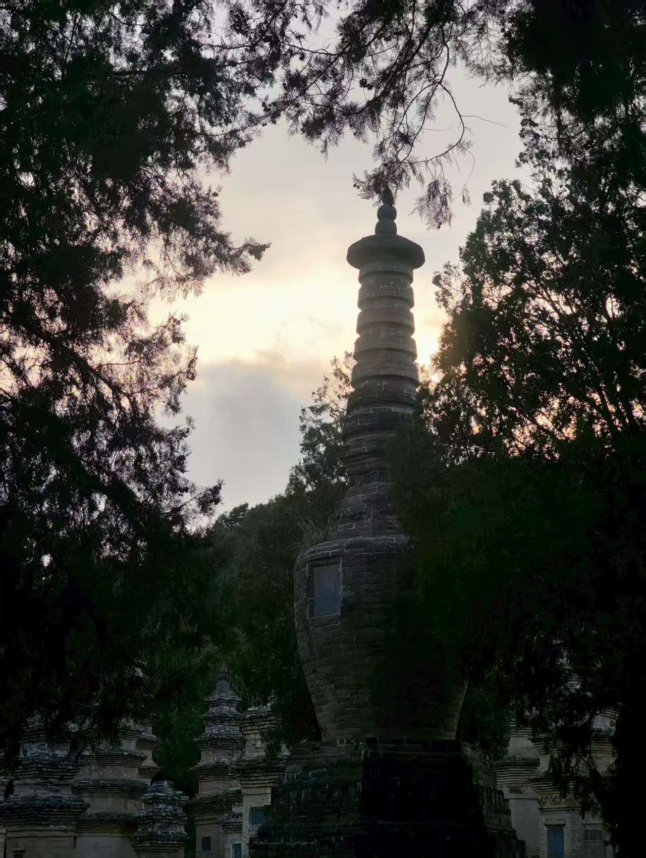 塔林，塔林里每一座塔都是德高望重的高僧的墓